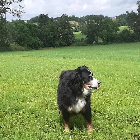 Casa vacanze Le Papillon *