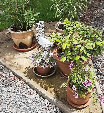 Le Papillon Isserpent