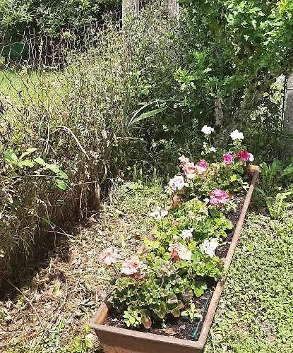 Le Papillon Ferienhaus